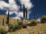 Juni 2013 Huaraz bis Ayacucho