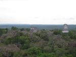 Ruinen von Tikal