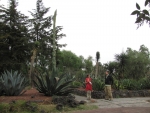 Im Botanischen Garten mit unserem Gastgeber Eduardo.
